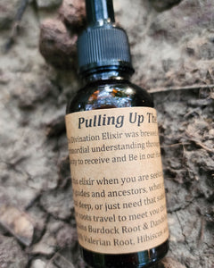 Pulling Up The Roots Divination Elixir
